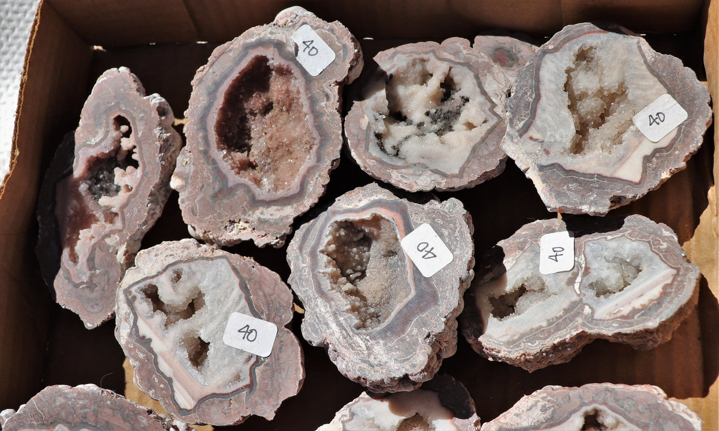 18 count flat of $40 Baker Ranch thunderegg halves