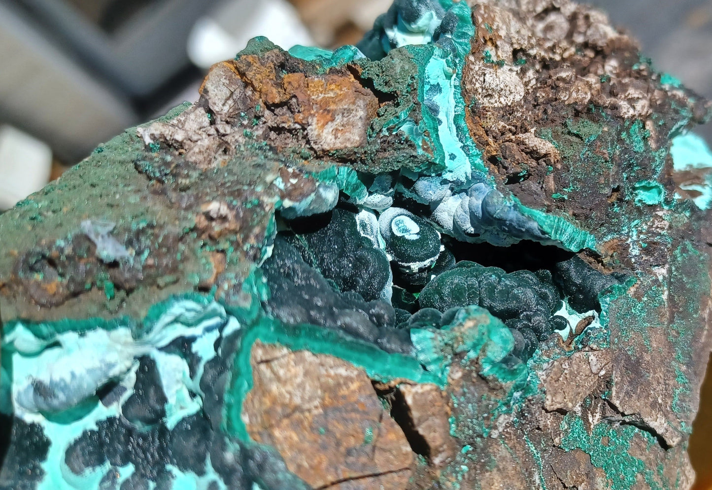 Wild Malachite and Shattuckite specimen