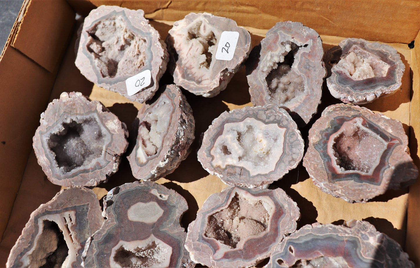 24 count flat of $20 Baker Ranch thunderegg halves