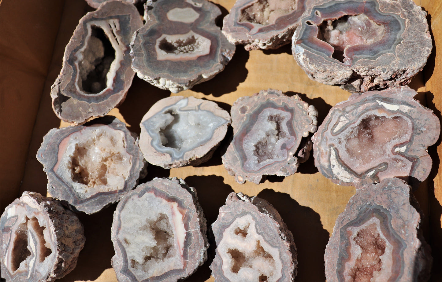 24 count flat of $20 Baker Ranch thunderegg halves