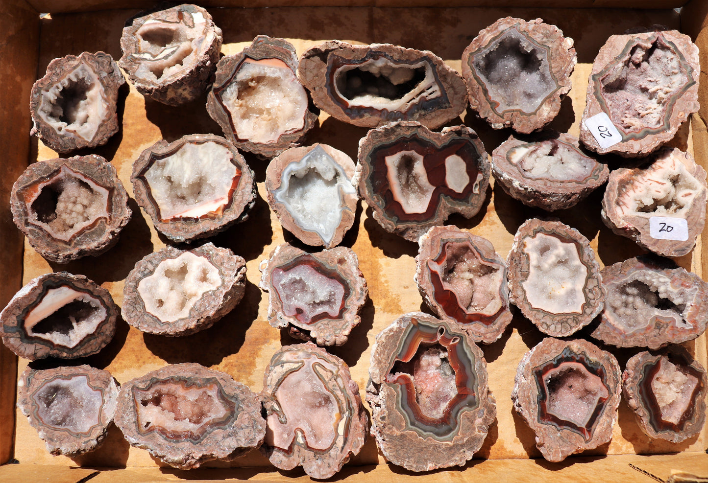 24 count flat of $20 Baker Ranch thunderegg halves