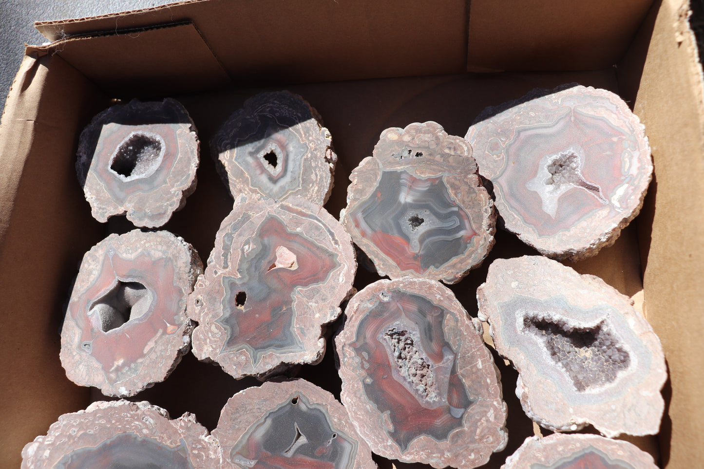 18 count flat of $45 Deming thunderegg halves