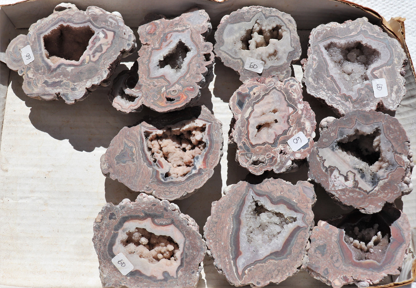 10 count flat of $60 Baker Ranch thunderegg halves